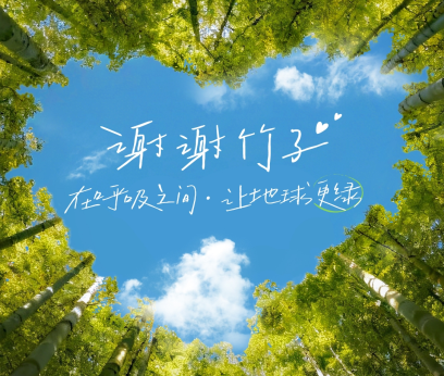 谢谢竹子，更谢谢您！
